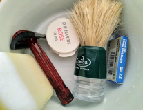 SOTD 7.5.2020