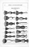 1878 catalogue Botteaux4