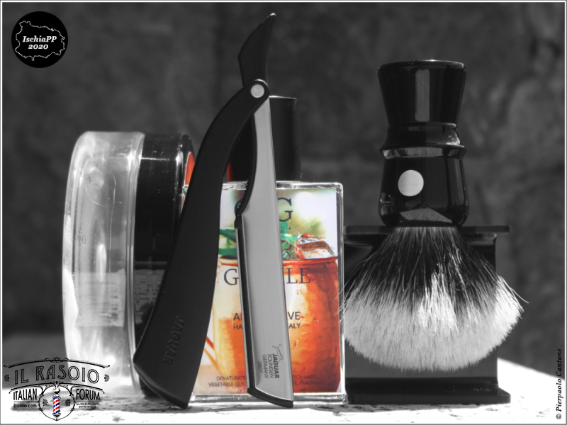 SOTD20200612_Felino
