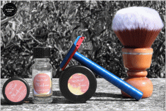 SOTD20200930_AL13N