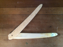 manico rayskin 1