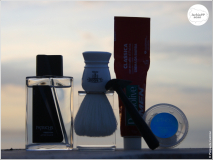 SOTD20201104_Palma