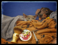 shaving with love