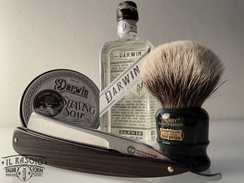 Sotd 12/1/21