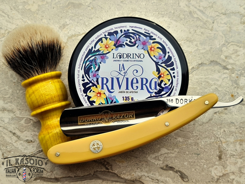 SOTD 20210204
