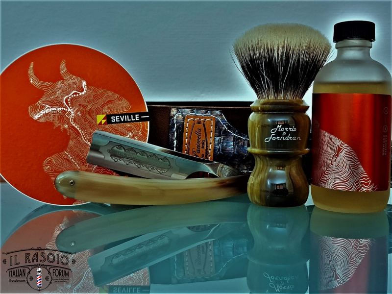SOTD 20210228