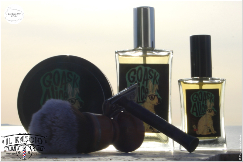 SOTD20210522_GoAskAlice