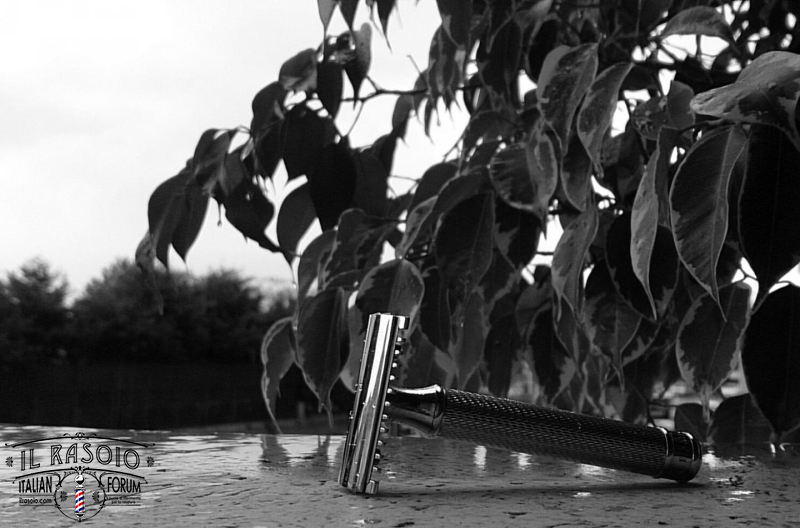 Rasatura 24.11.2013