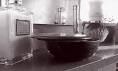 SOTD 2013-11-28