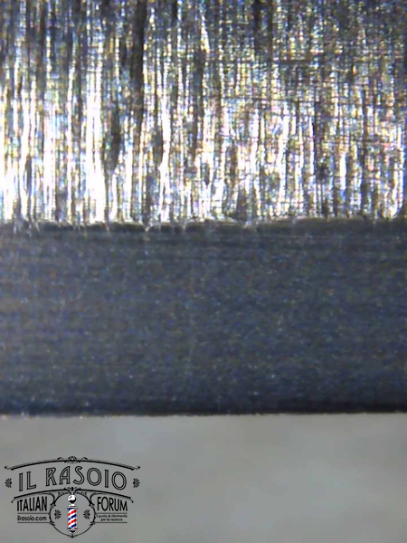 563E979F-2041-4A8B-A1F2-5F58A9710E36