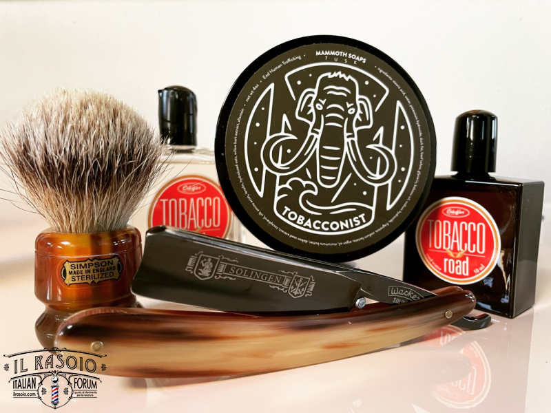 Sotd 12/12/21