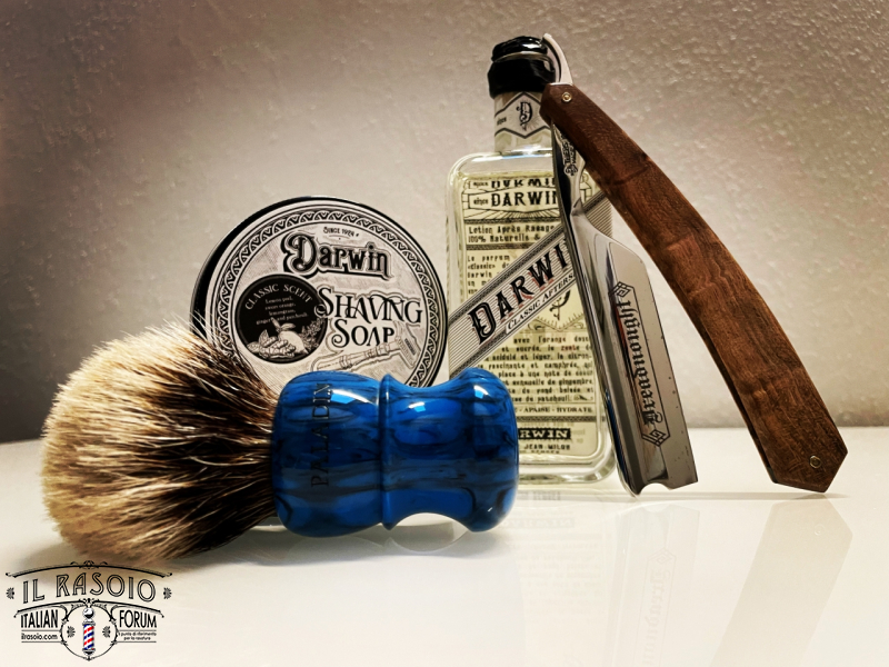 Sotd 17/12/21