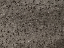 B8671F0D-1537-44C0-9114-DCEC93BC36F7
