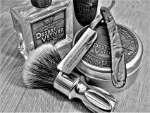 SOTD 20220223