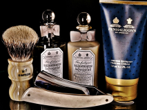 SOTD 20220304
