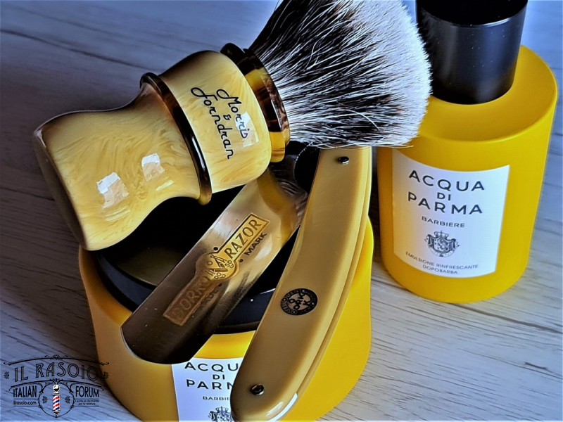SOTD 20220318