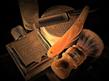 SOTD 20230201
