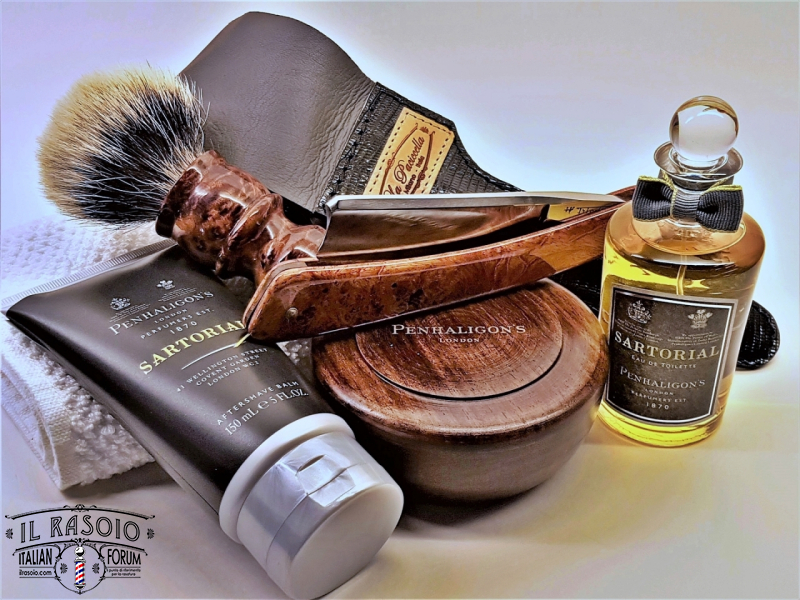 SOTD 20230208