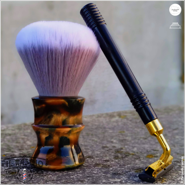 SOTD20230325_Passero