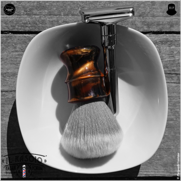 SOTD20230326_Passero