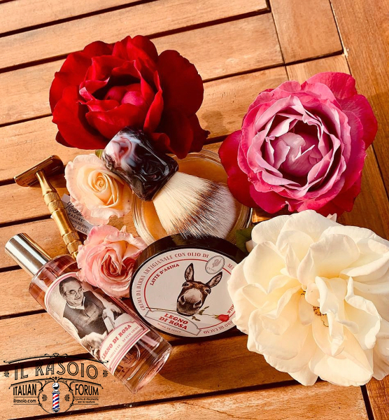 SOTD 03/05/23