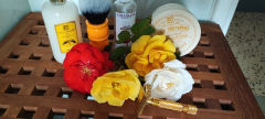Sotd 14/05/23