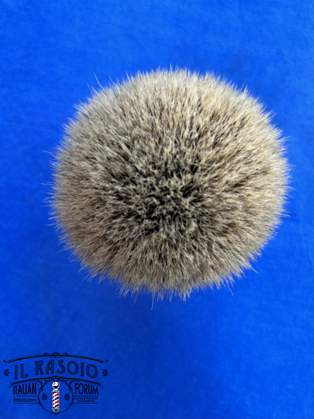 B3237CEB-A309-4EC0-9549-F0874D326B7B