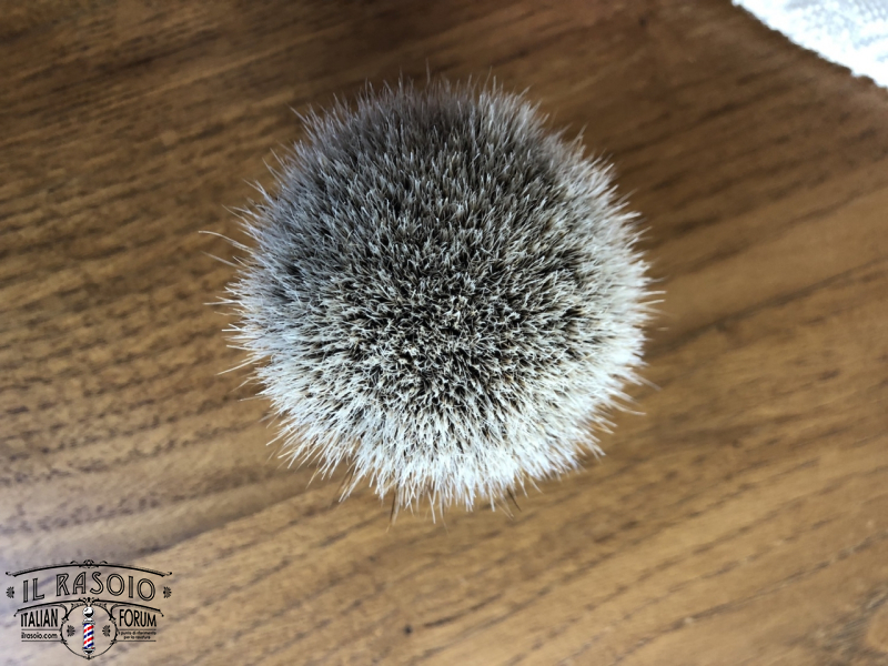 zenith manchurian-silvertip