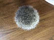zenith manchurian-silvertip