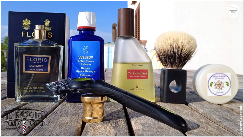 SOTD20230818_Lovender