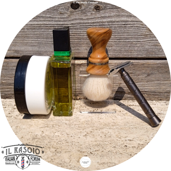 SOTD20230824_GreenDream
