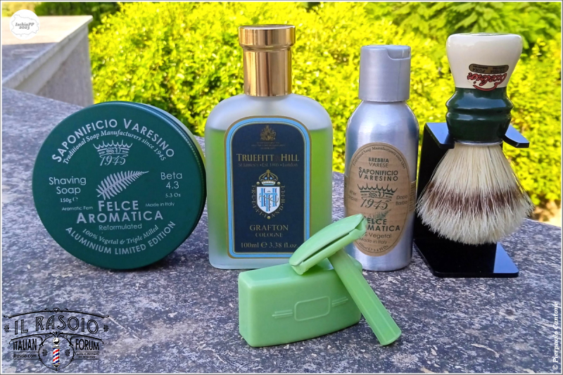 SOTD20230827_GreenDream