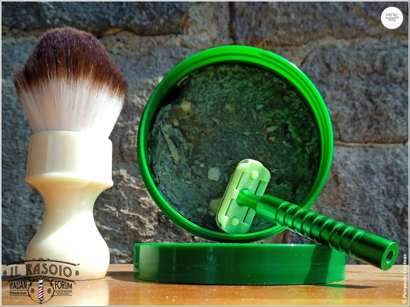SOTD20230830_GreenDream