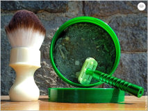SOTD20230830_GreenDream