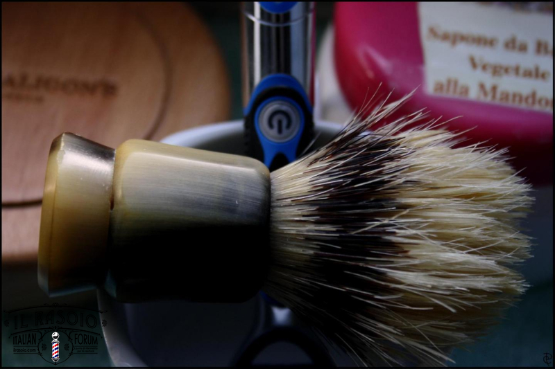 SOTD20131218 Provember48