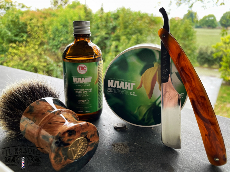 Sotd 29/10/23