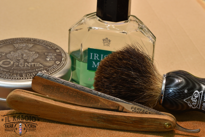SOTD 1.11.2023.