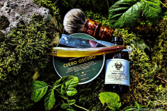 SOTD 20231107
