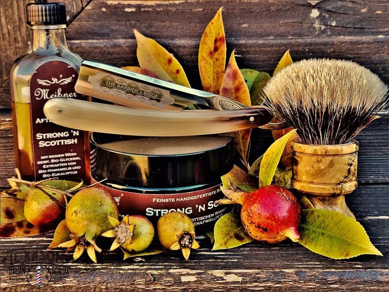 SOTD 20231108