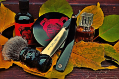 SOTD 20231109