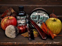 SOTD 20231110