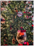 NATALE 2023