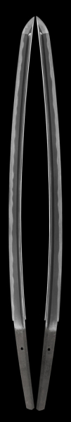 433589580_7542225912495437_8411191755879639215_n