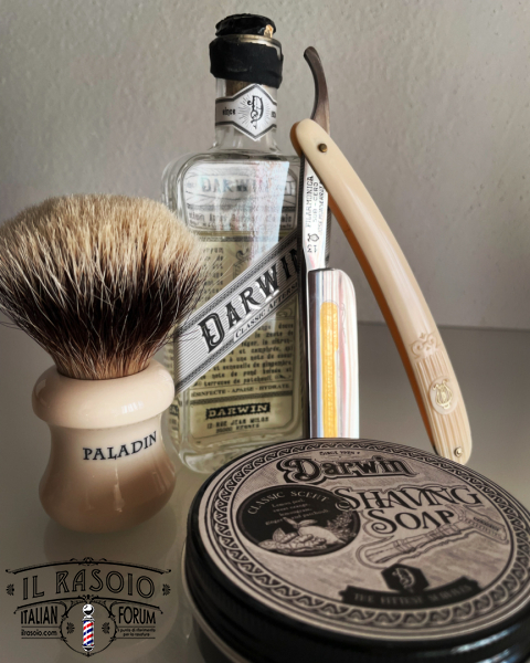 Sotd 17/5/24