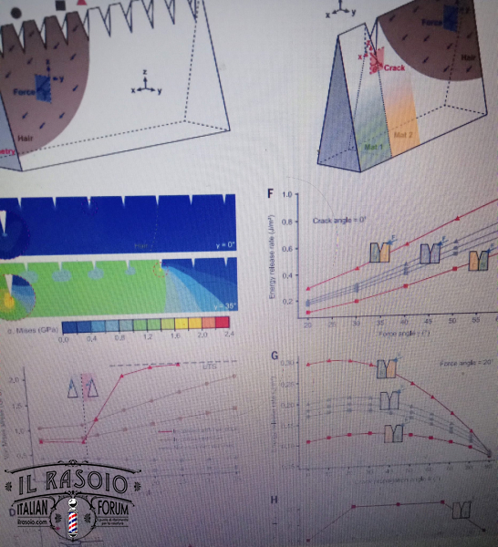 393693352_6936136173104417_3978404393619351026_n