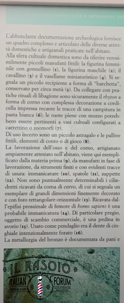Rasoi Lunati 4
