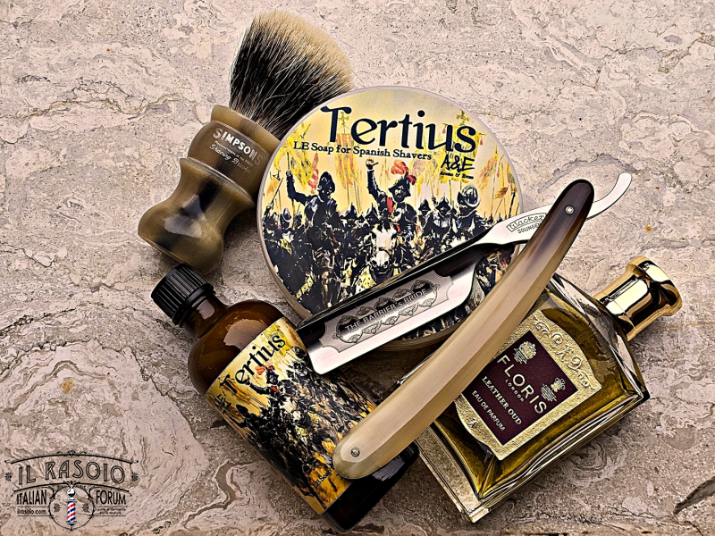 SOTD 20241120