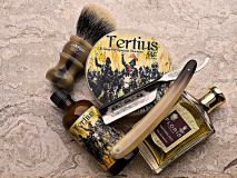 SOTD 20241120