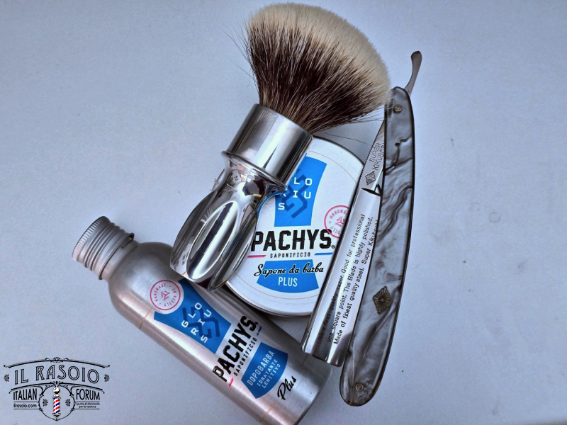 SOTD 20250711